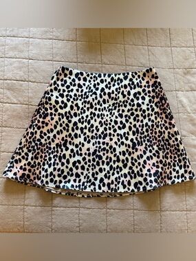 Mini Skirt